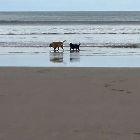 Rockpool The Bay Filey, 3 Bed Sleeps 6 Dog Friendly *