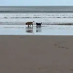 Rockpool At The Bay Village Filey, 3 Bed Sleeps 6 Dog Friendly, Free Leisure Facilities, Direct Access, Pub & Shop *